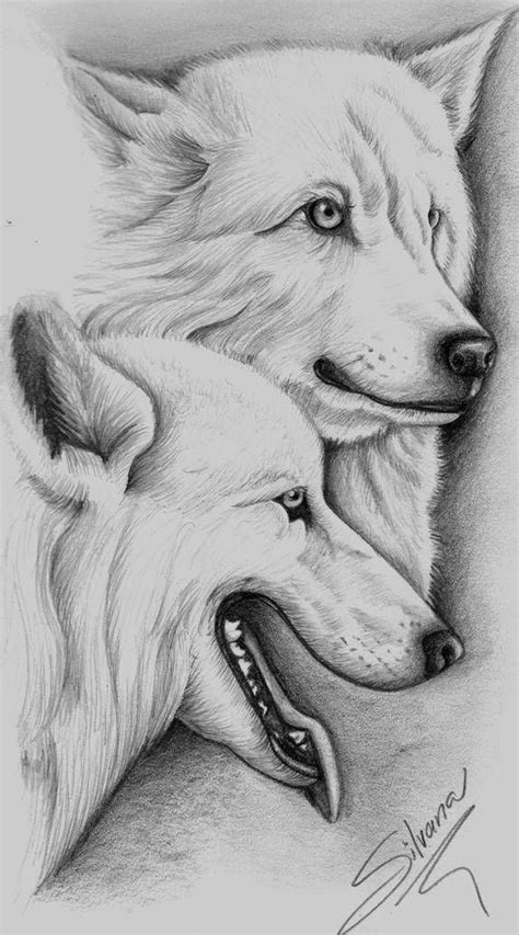 lapiz dibujos de animales|animales para dibujar faciles.